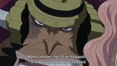 One Piece 798