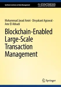 Blockchain-Enabled Large-Scale Transaction Management (Synthesis Lectures on Data Management)