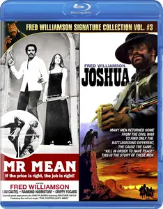 Mr. Mean (1977)