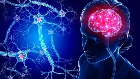 Certified Subconscious Reprogramming Coach