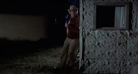 Bucktown (1975)