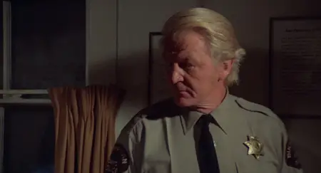 Bucktown (1975)