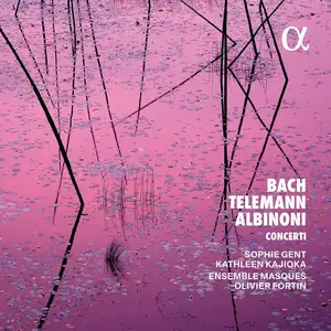 Sophie Gent - J. S. Bach, Telemann & Albinoni Concerti (2025) [Official Digital Download 24/192]