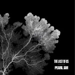 Pearl Jam - The Last of Us (2025)