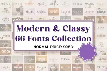 Modern & Classy Font Bundle - 66 Premium Fonts