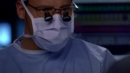 Grey's Anatomy S07E08
