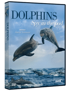 BBC - Dolphins: Spy in the Pod (2014) 
