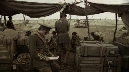 Birdsong (2012)