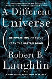 A Different Universe: Reinventing Physics from the Bottom Down