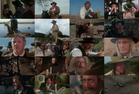 The Frisco Kid (1979)