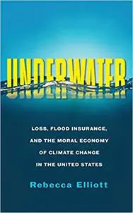 Underwater: Loss, Flood Insurance, and the Moral Economy of Climate Change in the United States