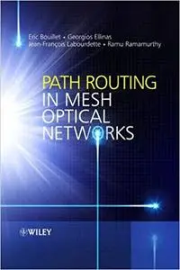 Path Routing in Mesh Optical Networks [Repost]