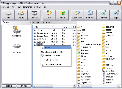 CryptoExpert 2007 Professional v6.6.10