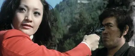 The Street Fighter (1974)