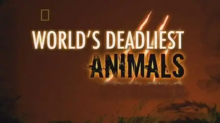 National Geographic - Wild World's Deadliest Animals: Forests (2010)
