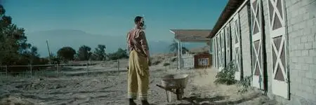 The Farm (2018)