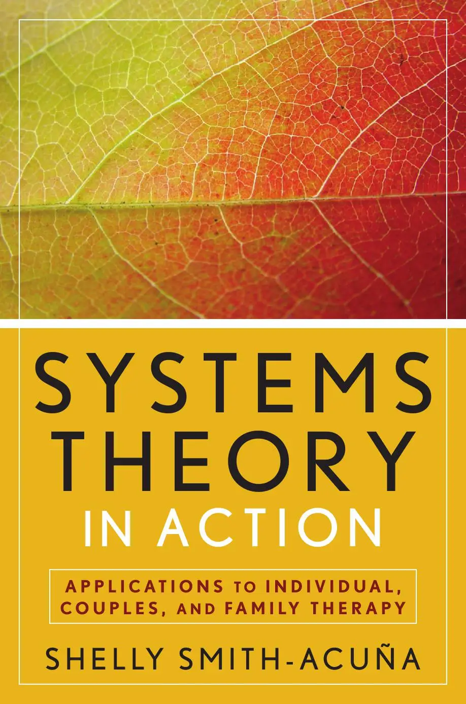 Systems Theory in Action: Applications to Individual, Couple, and Family Therapy
