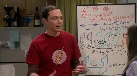 The Big Bang Theory S01E14