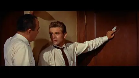 Rebel Without a Cause (1955) [Special Edition]