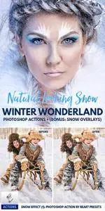 GraphicRiver Winter Wonderland Actions & Overlays