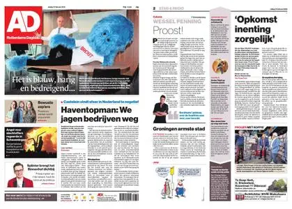 Algemeen Dagblad - Hoeksche Waard – 15 februari 2019