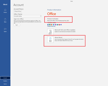 Microsoft Office Professional Plus 2021 VL Version 2307 (Build 16626.20134) (x86/x64) Multilingual
