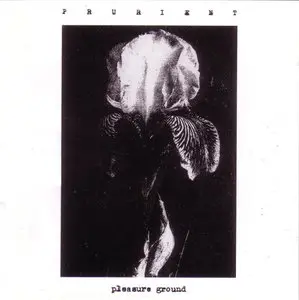 Prurient - Pleasure Ground (2006) {Load} **[RE-UP]**