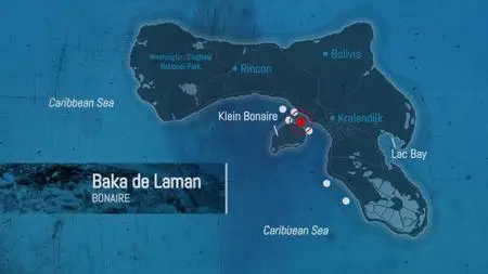 Reef Wrecks (2017)