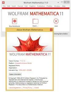 Wolfram Mathematica 11.0.1 Portable