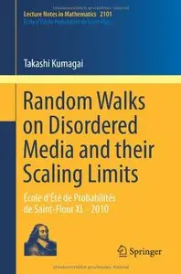 Random Walks on Disordered Media and their Scaling Limits (repost)