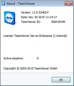 TeamViewer Server Enterprise 11.0.52465 Multilingual + Portable