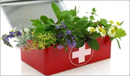 Udemy - Home Remedies for the First Aid Kit