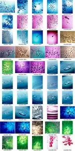Aquas