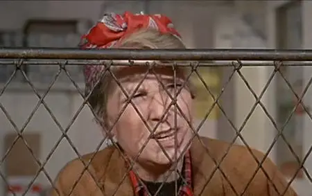 Ring of bright water (1969)