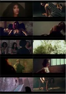Amazon Hot Box (2018) + Bonus