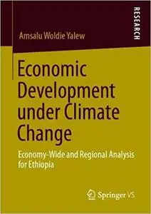 Economic Development under Climate Change: Economy-Wide and Regional Analysis for Ethiopia