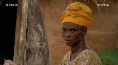 (Arte) L'aide au développement, un cadeau empoisonné ? (2014)