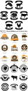 Vectors - Food Different Labels Set