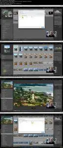 Lightroom Magic! - Smart Collections - No More Lost Photos!