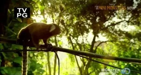 Discovery Channel - Mini Monsters (2014)