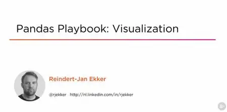Pandas Playbook: Visualization