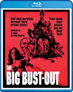 The Big Bust Out (1972)