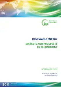 "Renewable Energy: Markets and Prospects by Technology" by Adam Brown, Simon Müller, Zuza na Dobrotková