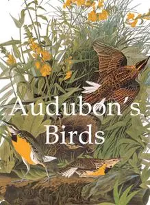 «Audubon's Birds» by John James Audubon