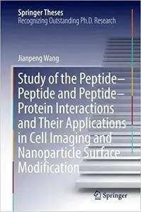 Study of the Peptide-Peptide and Peptide-Protein Interactions