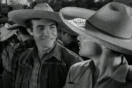 Border Incident (1949)