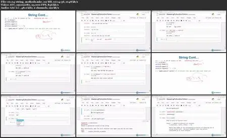 Data Understanding and Data Visualization with Python