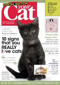 Your Cat - February 2020