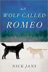 A Wolf Called Romeo Ed 2