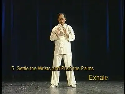 Taijiquan - Classical Yang Style